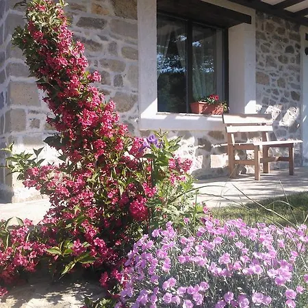 Guest house Elitsa Davidovko
