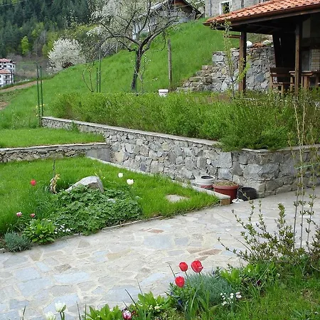 Elitsa Guest house