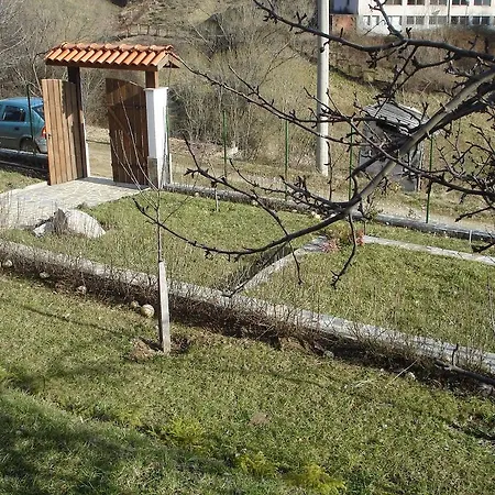 Elitsa Guest house *
